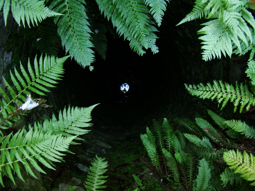 Blick in den tiefen Brunnen