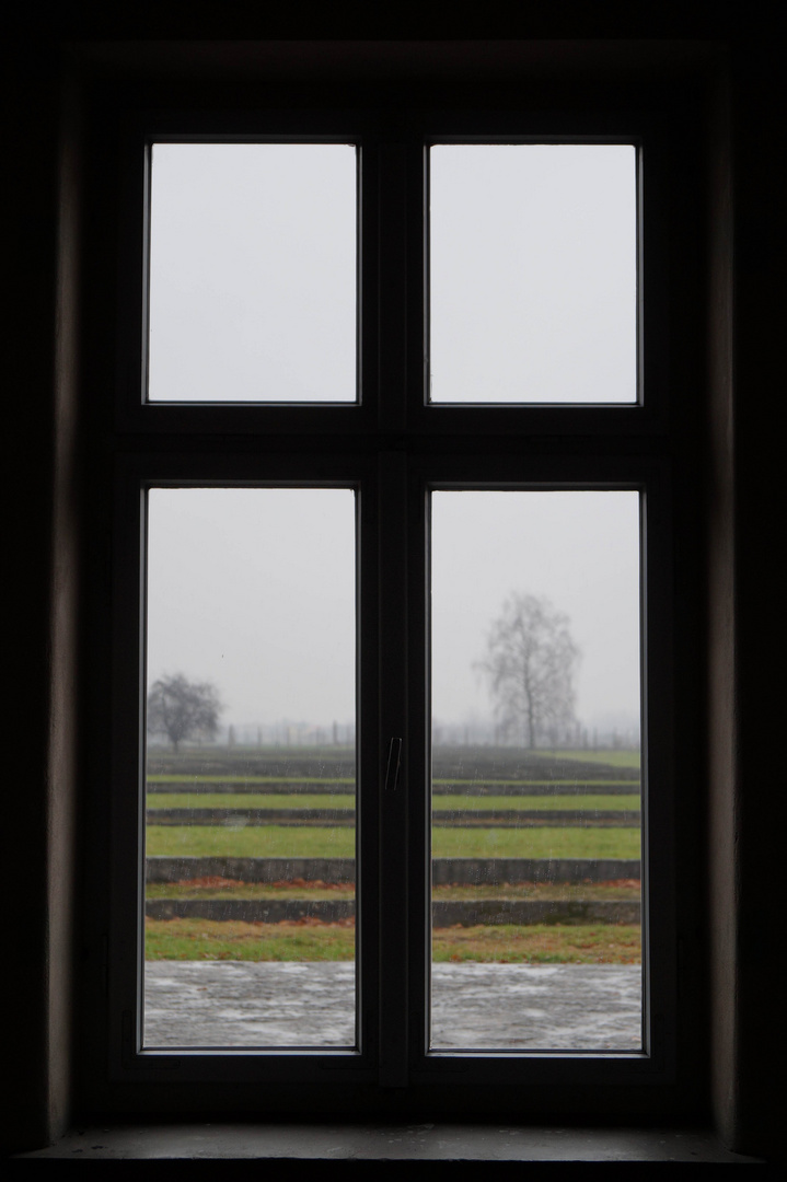 blick in den tod - Auschwitz II