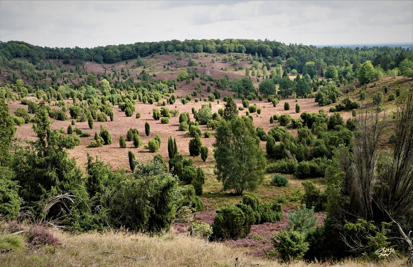 Blick in den Totengrund