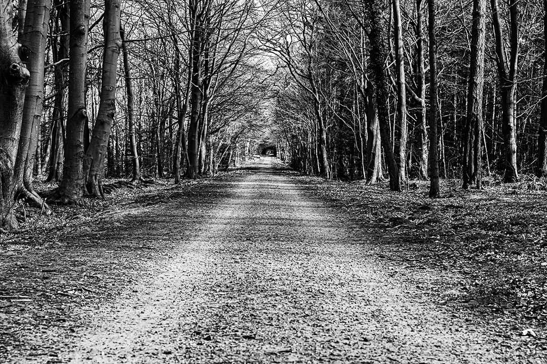 Blick in den Tunnel