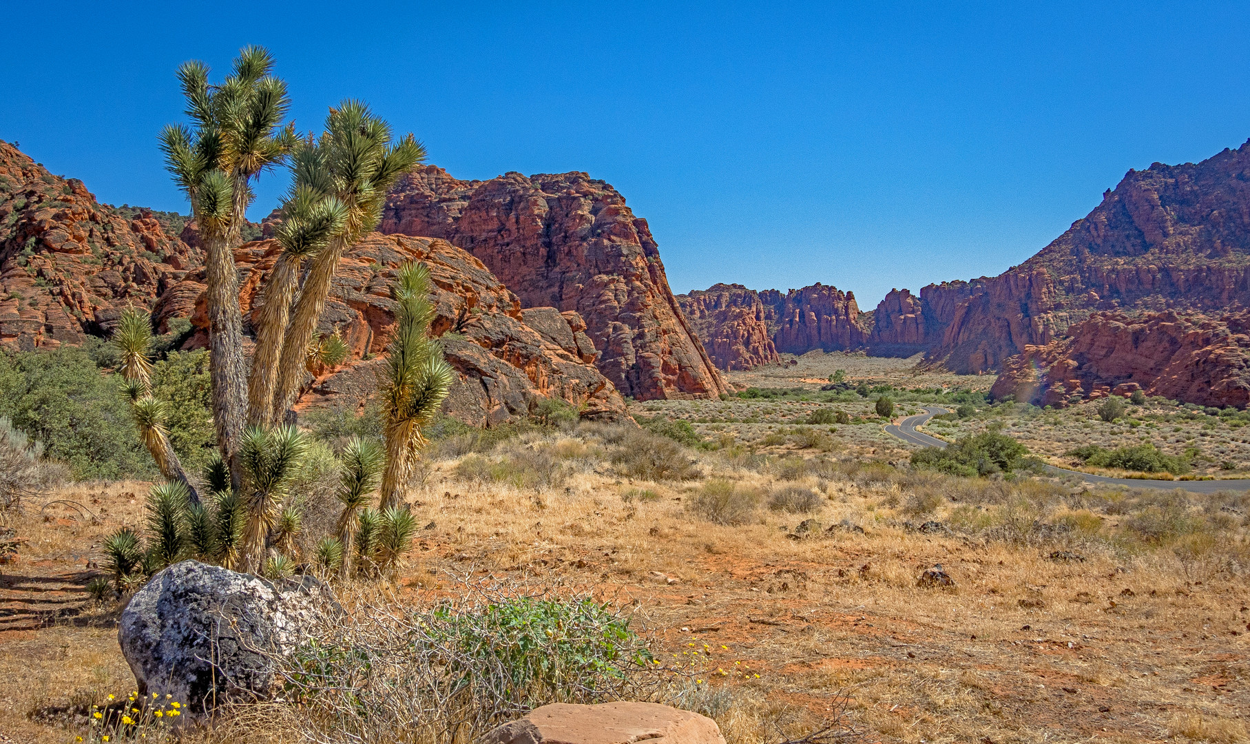 Blick in den unteren Snow-Canyon