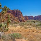 Blick in den unteren Snow-Canyon