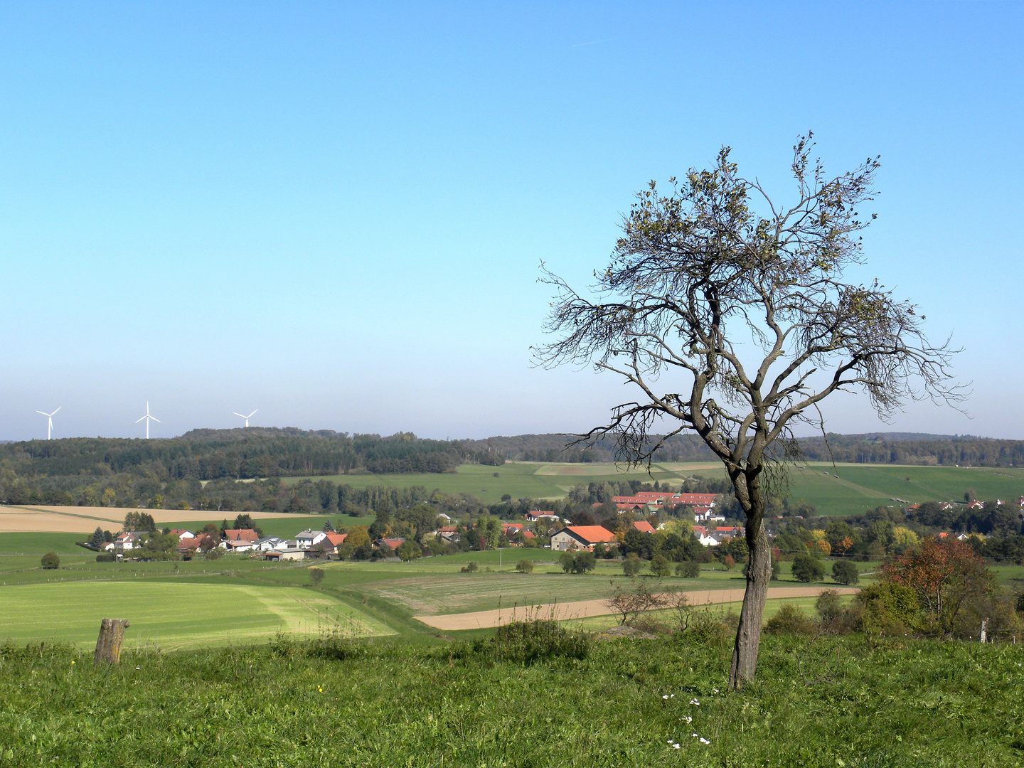 Blick in den Vogelsberg