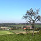 Blick in den Vogelsberg