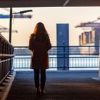 Blick in den Waltershofer Hafen