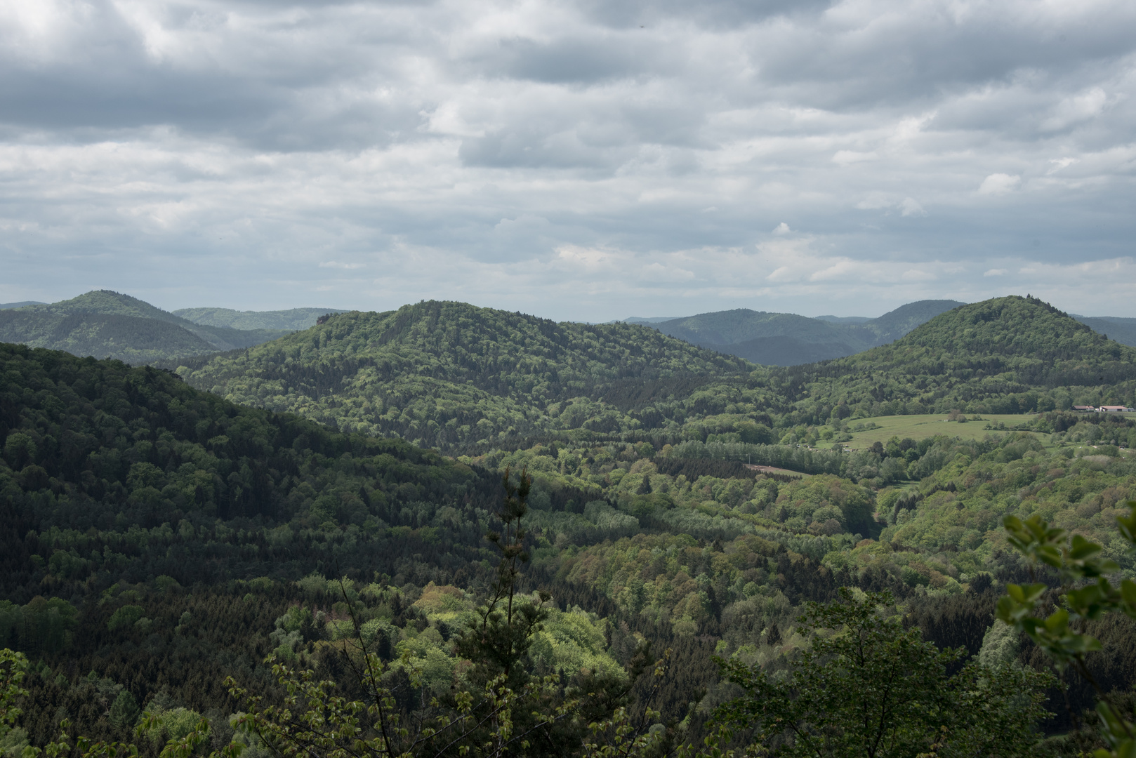 Blick in den Wasgau