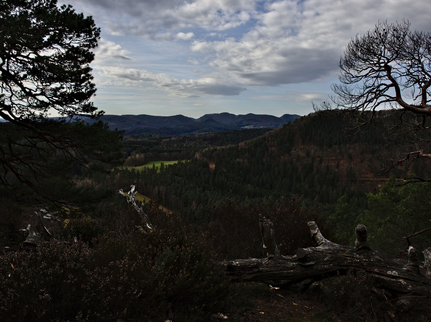 Blick in den Wasgau vom Heidenstein