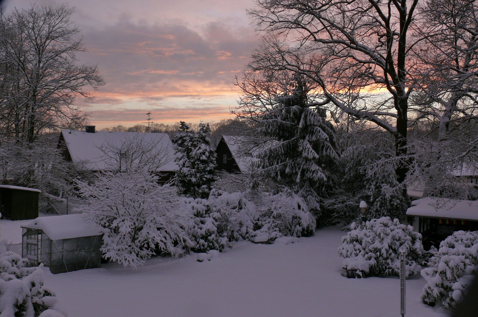 Blick in den "Wintergarten"