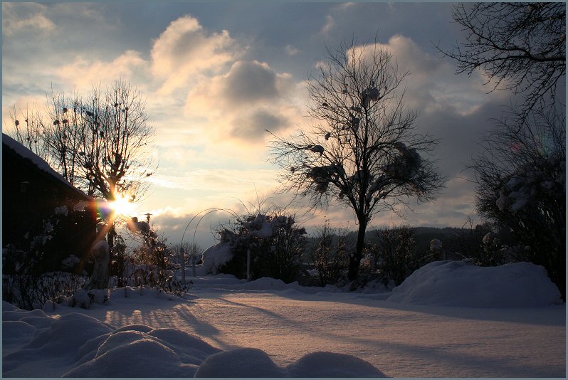 Blick in den winterlichen Garten