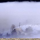 Blick in den winterlichen Nebel