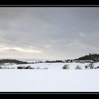 Blick in den winterlichen Odenwald #4