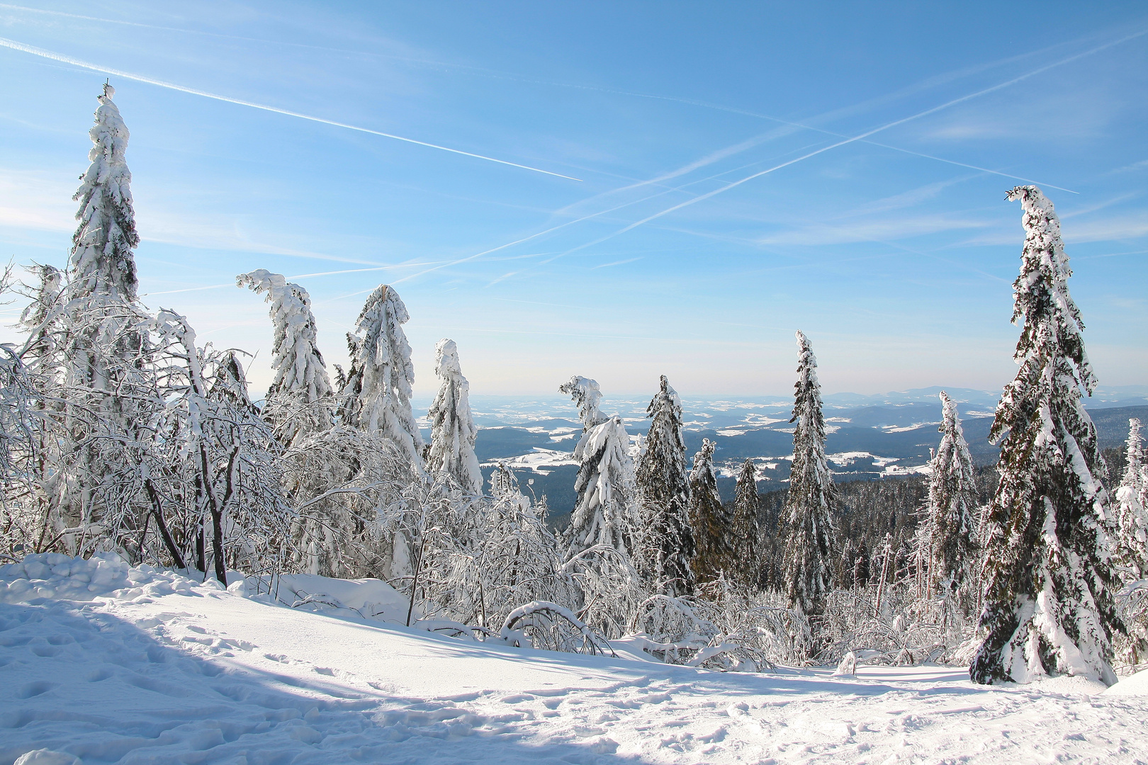 Blick in denn Bayerwald