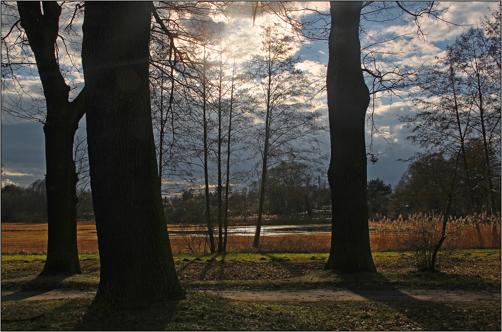 Blick in die abendliche Landschaft ...