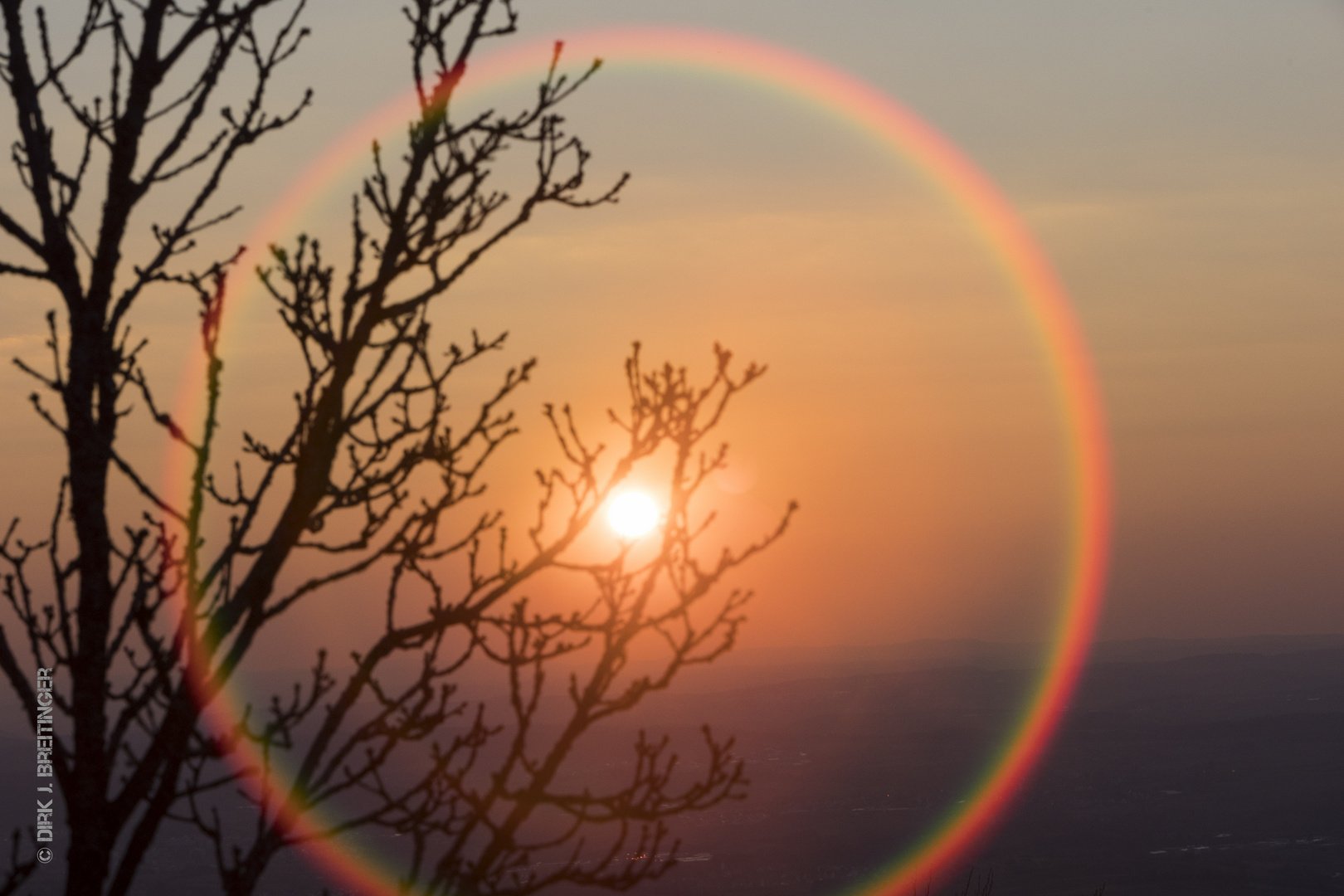 Blick in die abendliche Wintersonne