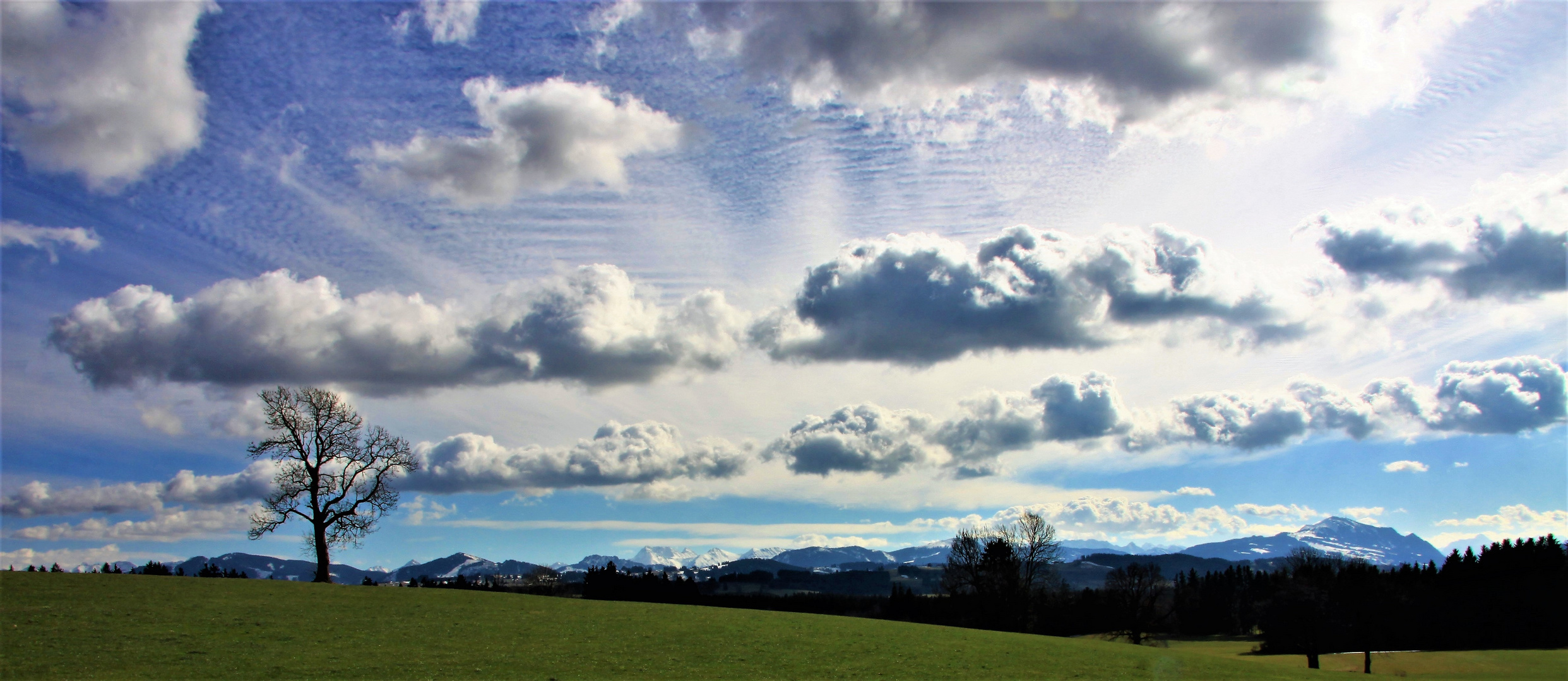 Blick in die Allgäuer Alpen