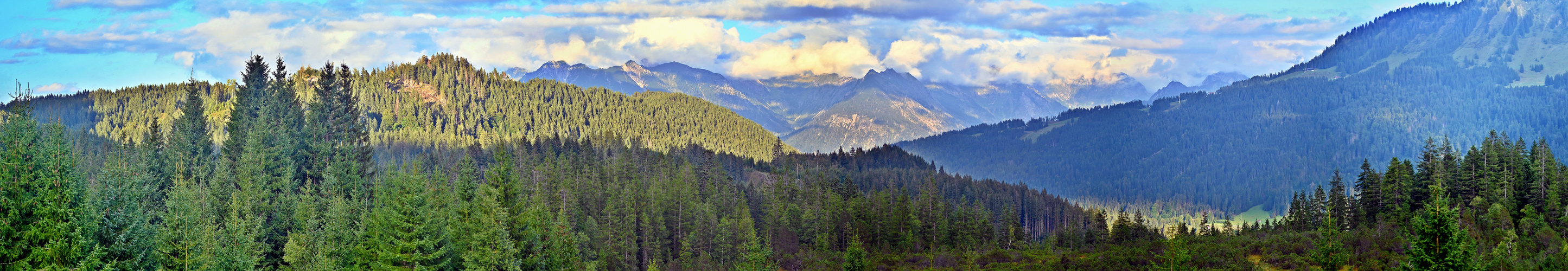 Blick in die Allgäuer Alpen