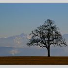 Blick in die Alpen