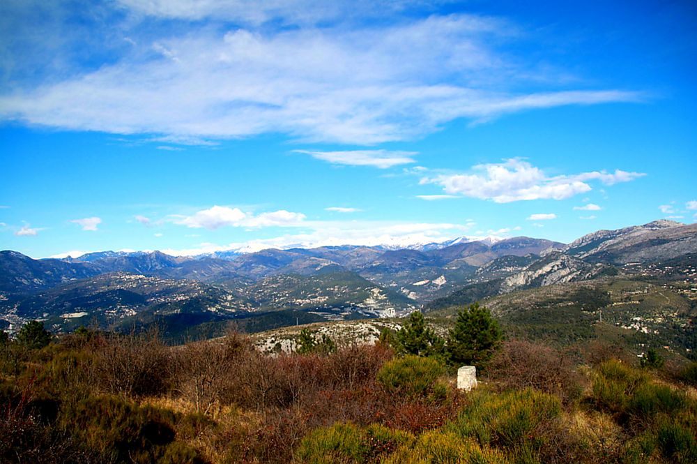 Blick in die Alpen