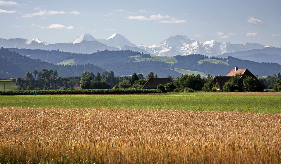 Blick in die Alpen