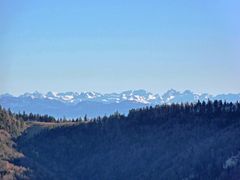 Blick in die Alpen.