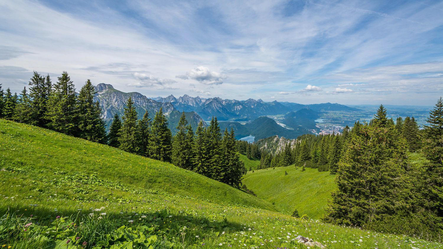 Blick in die Alpen