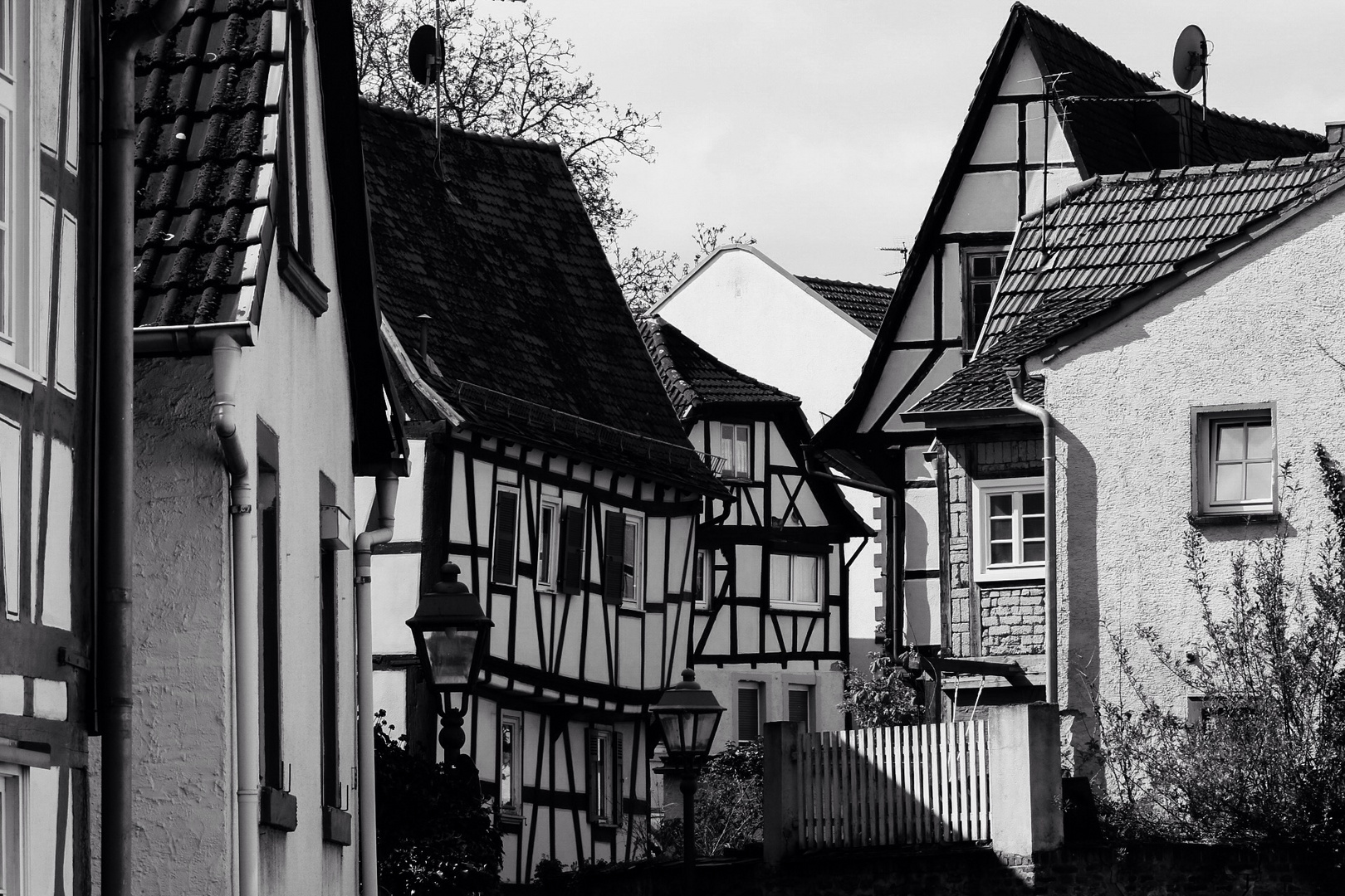 Blick in die Altstadt von