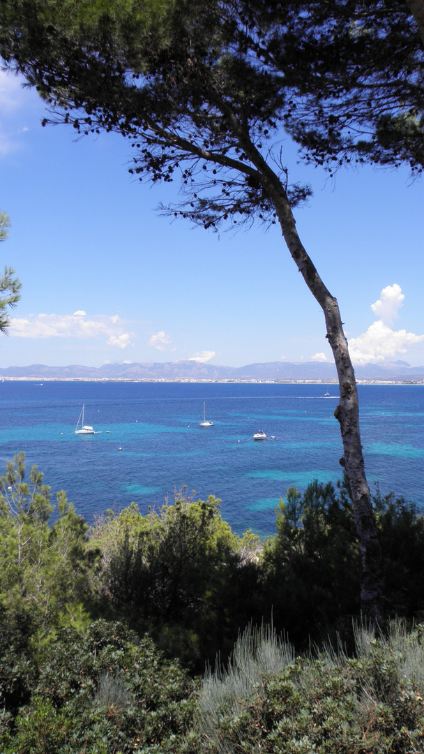 Blick in die Bucht von Palma