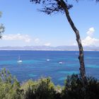 Blick in die Bucht von Palma