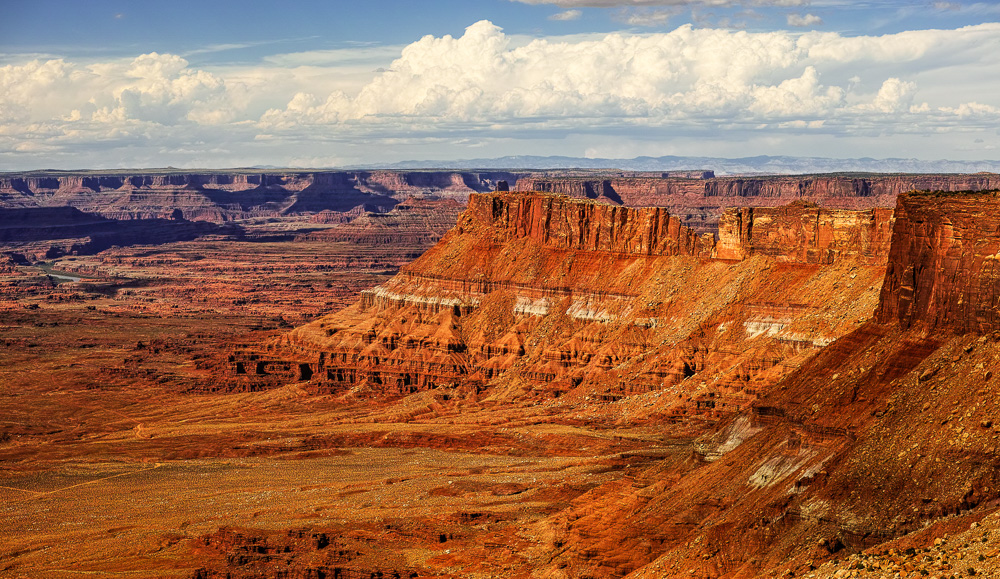 Blick in die Canyonlands vom Needles Overlook