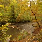 Blick in die Düssel (Neandertal)