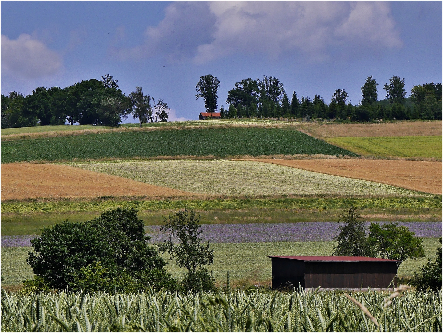 Blick in die Felder