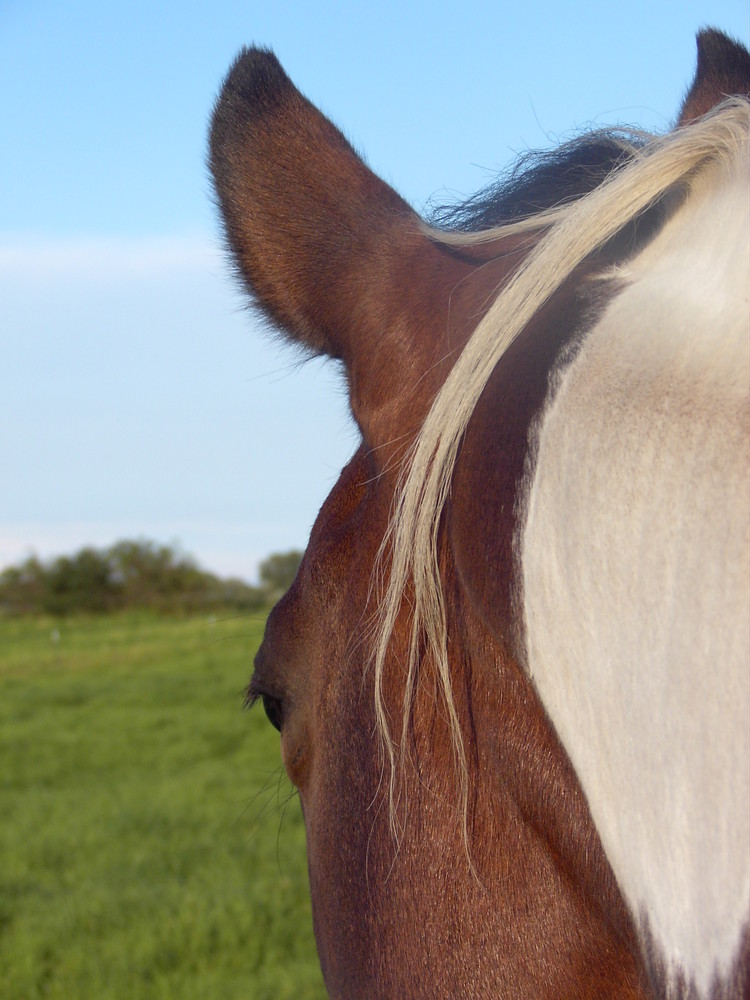 Blick in die Ferne