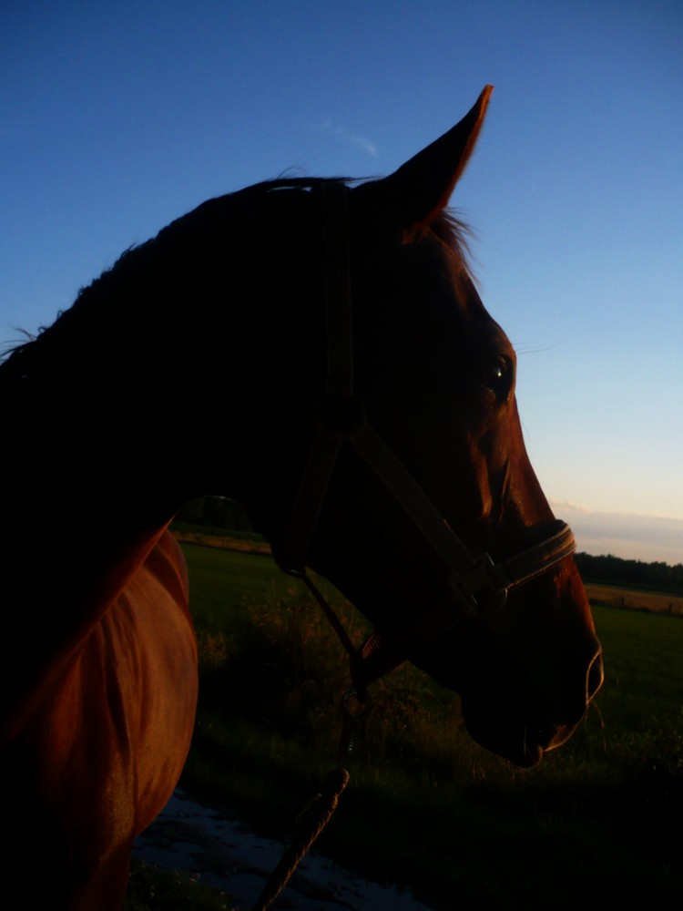 Blick in die Ferne