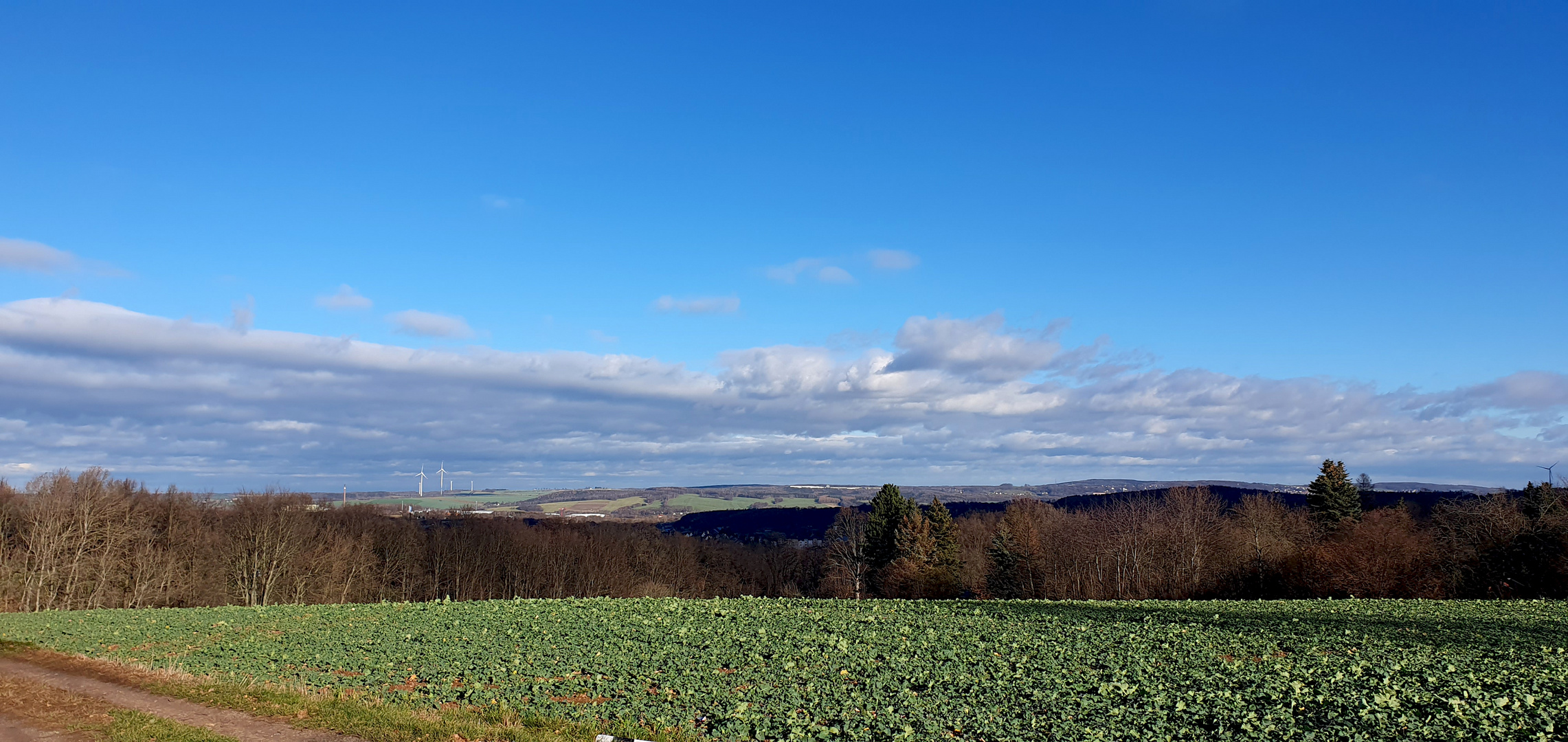 Blick in die Ferne