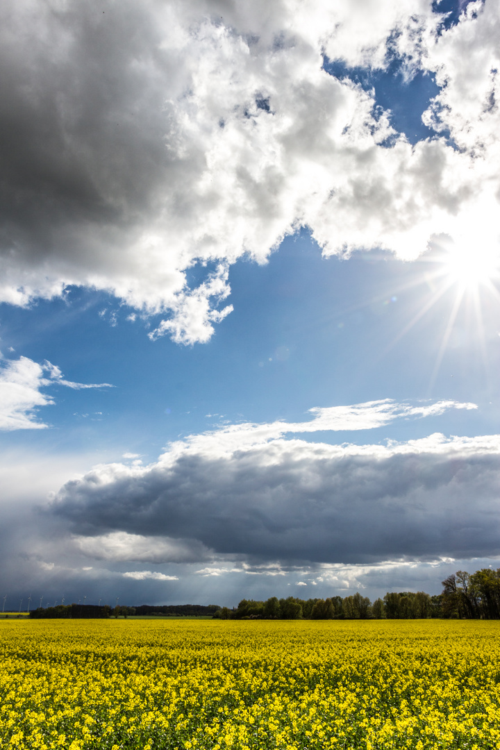 Blick in die Ferne