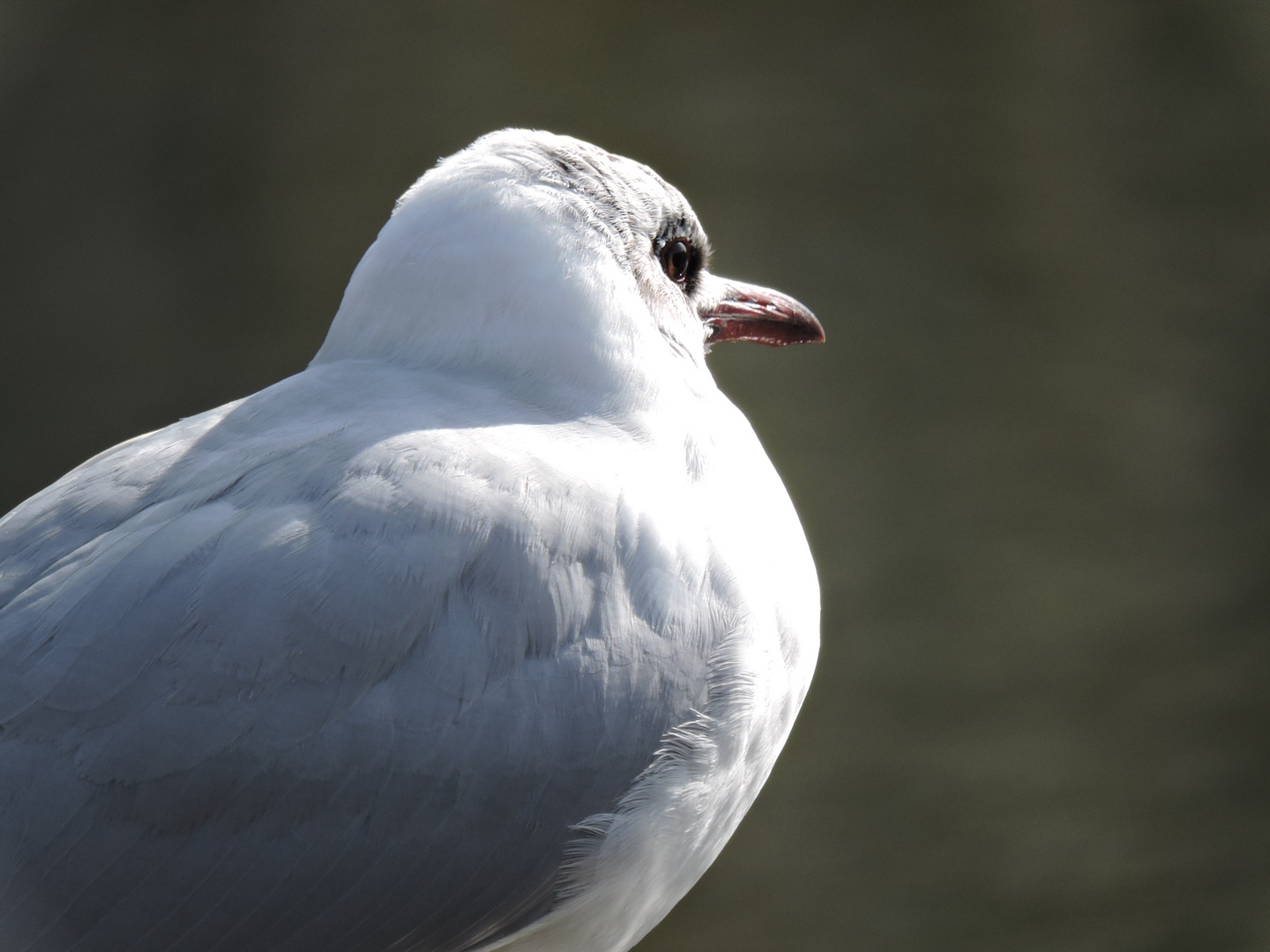 Blick in die Ferne