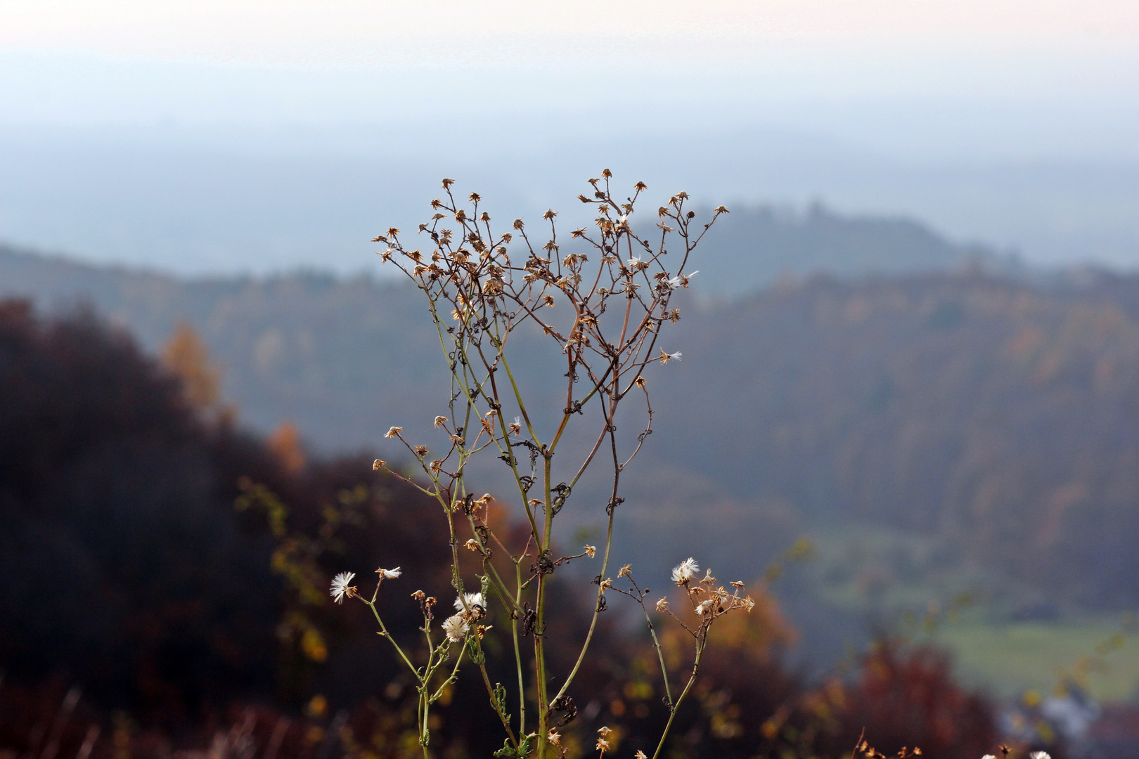 Blick in die Ferne