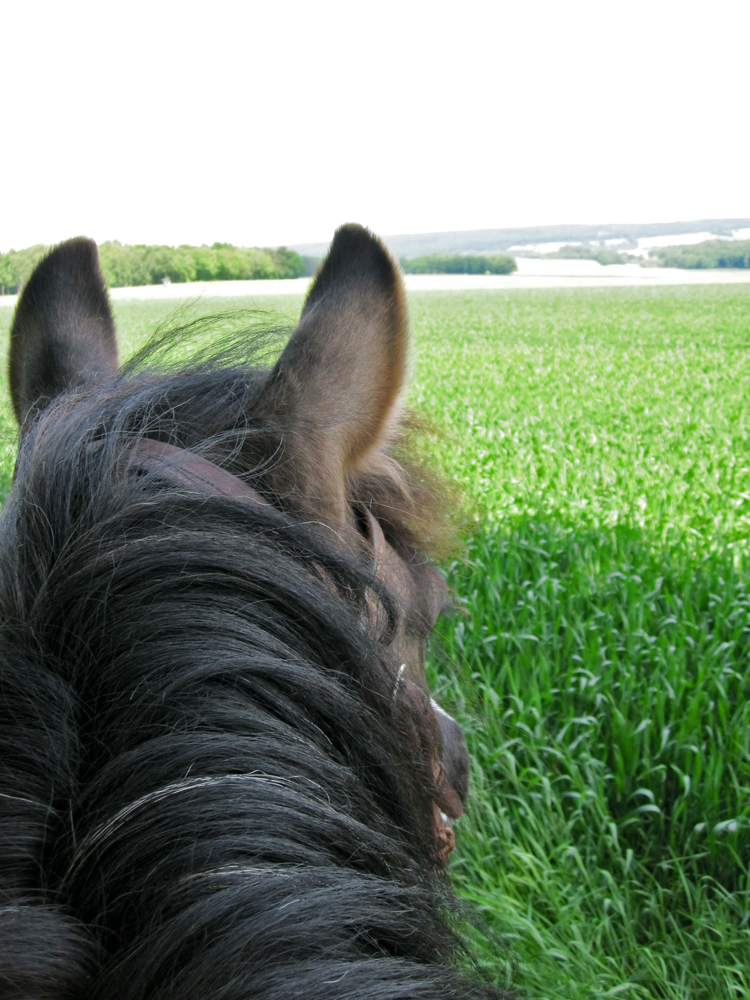 Blick in die Ferne