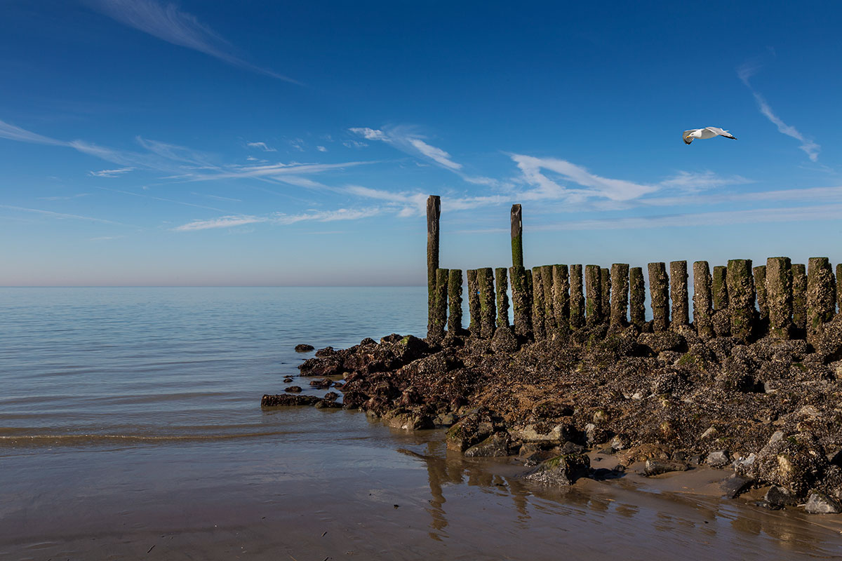 Blick in die Ferne Foto & Bild landschaft, meer & strand