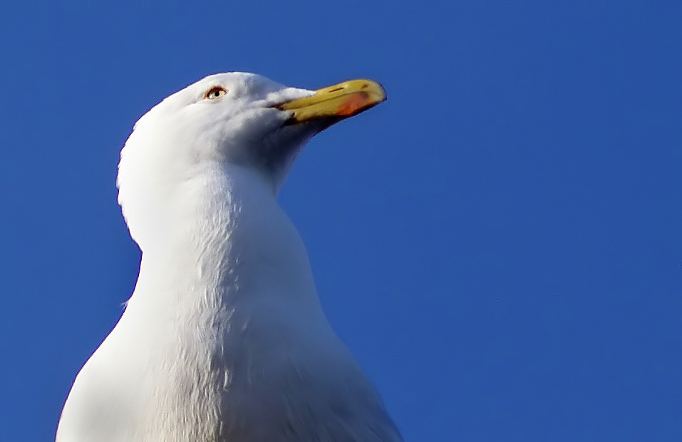 Blick in die Ferne