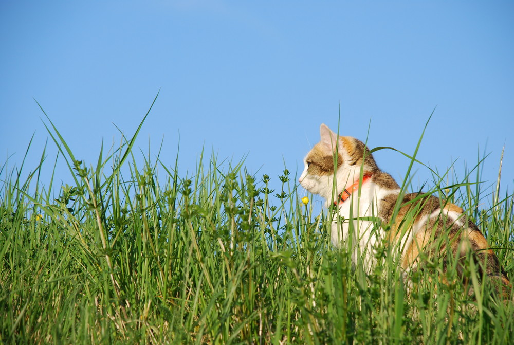 Blick in die Ferne...