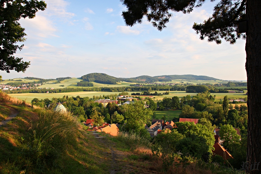 Blick in die Ferne 