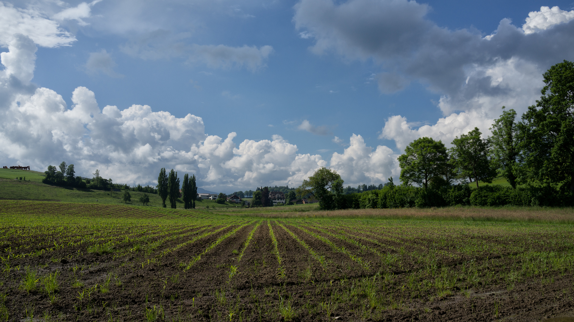 Blick in die Ferne 