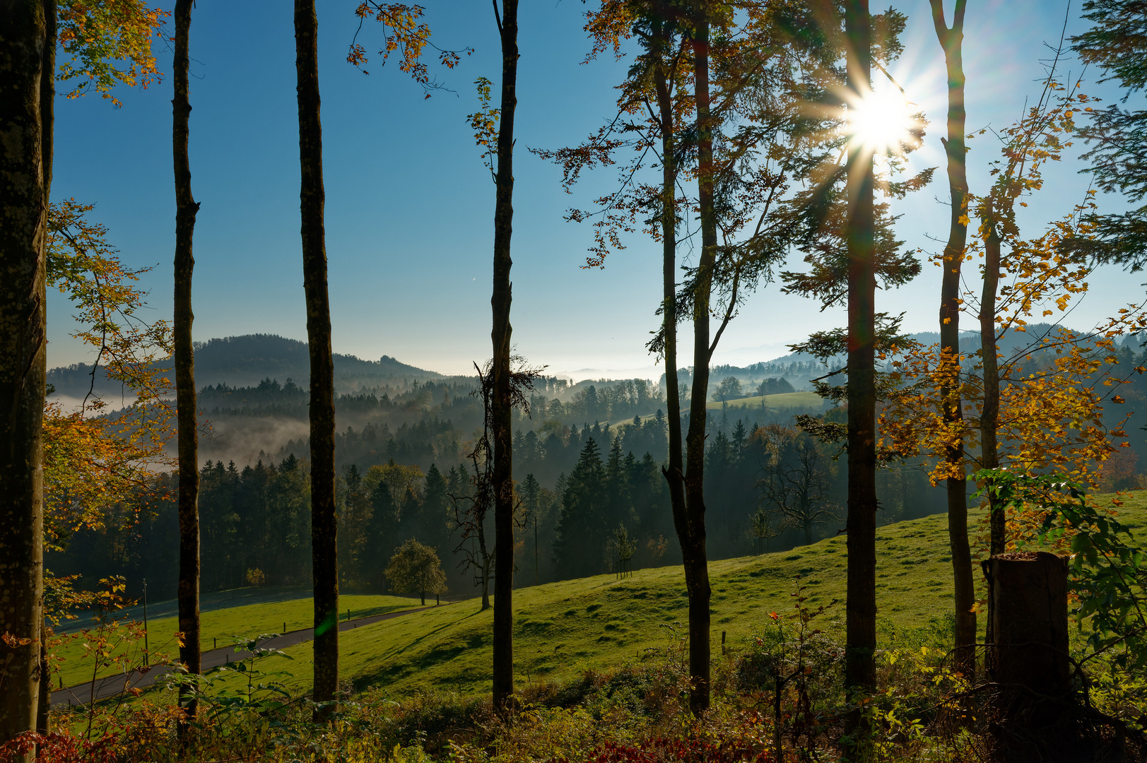 Blick in die Ferne