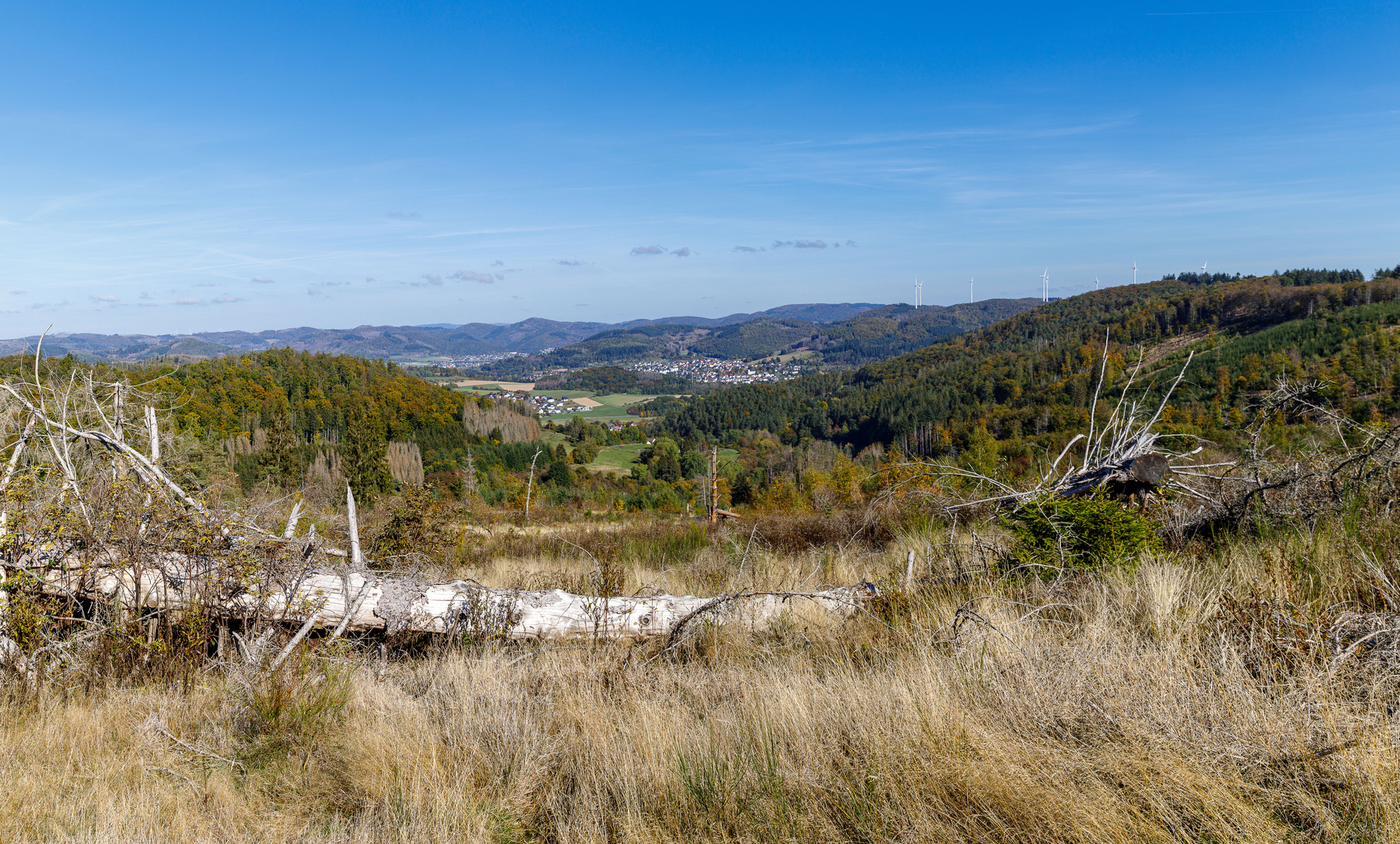 Blick in die Ferne