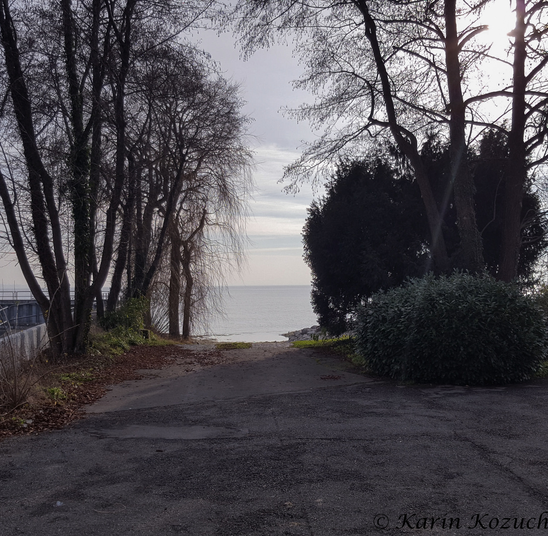 Blick in die Ferne am Bodensee, Dez. 2017