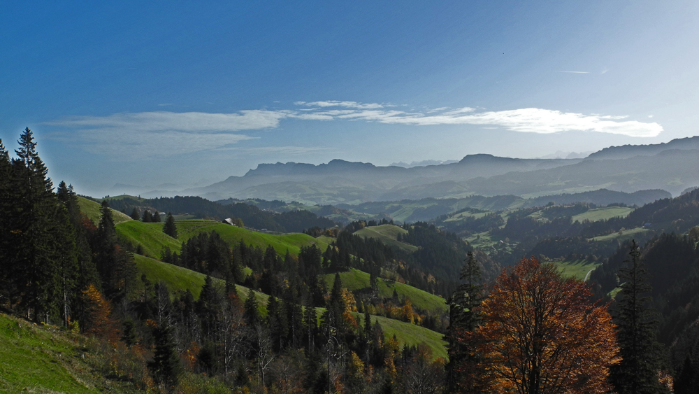 Blick in die Ferne