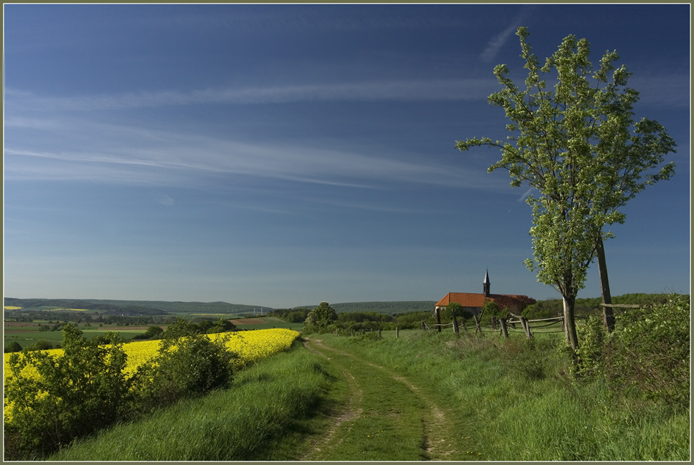 Blick in die  Ferne  .........