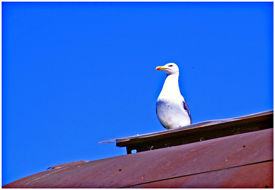 Blick in die Ferne