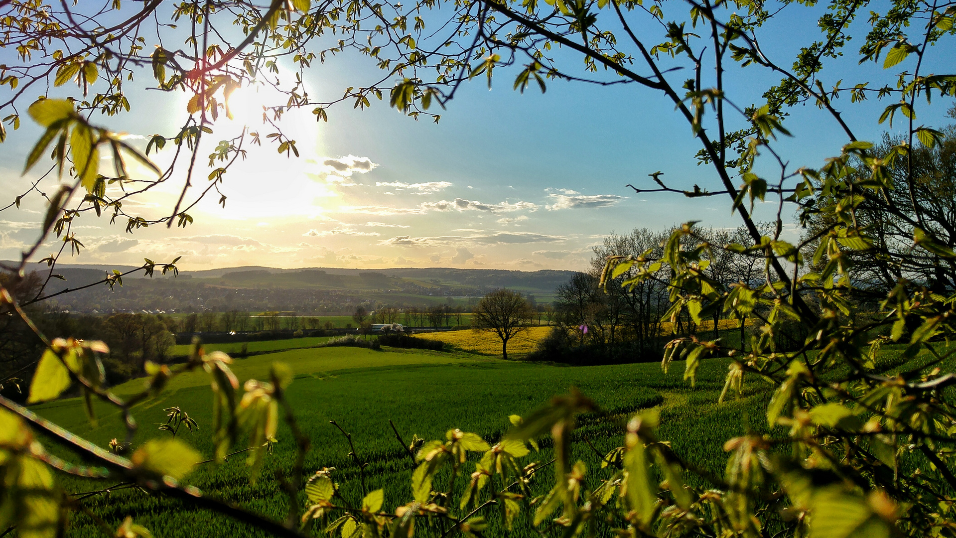 Blick in die Ferne... 